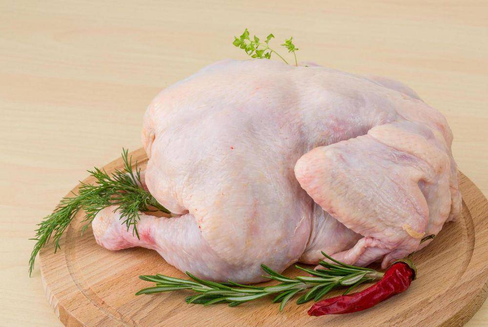 ilustrasi daging ayam segar (vecteezy.com/Andrey Starostin)
