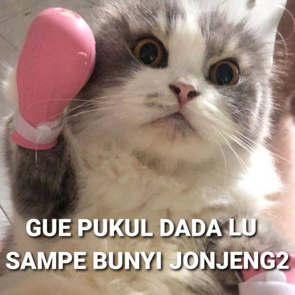 Meme Kucing Marah (twitter.com/littleclouds07)