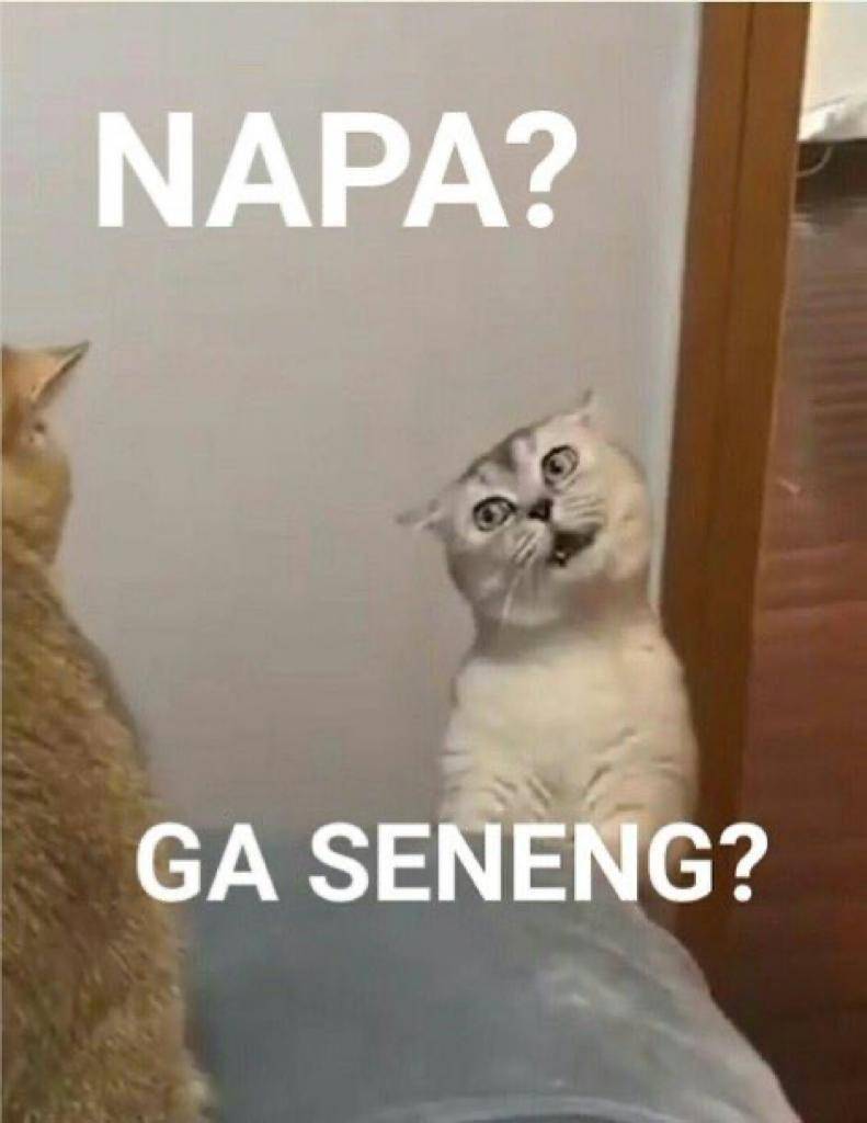 Meme Kucing Marah (twitter.com/pentimg)