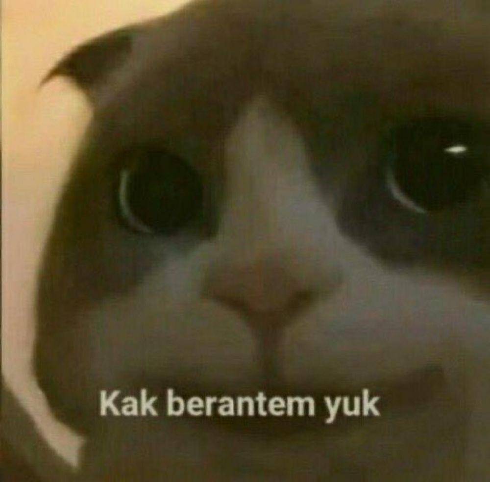 Meme Kucing Marah (twitter.com/pentimg)