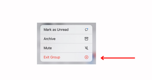 Screenshot WhatsApp oleh Zaki Narayan dok. WhatsApp