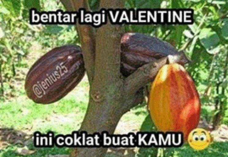 meme cokelat Valentine (instagram.com/jenius25)
