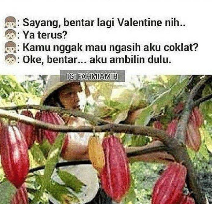meme cokelat Valentine (instagram.com/fahmiamir)