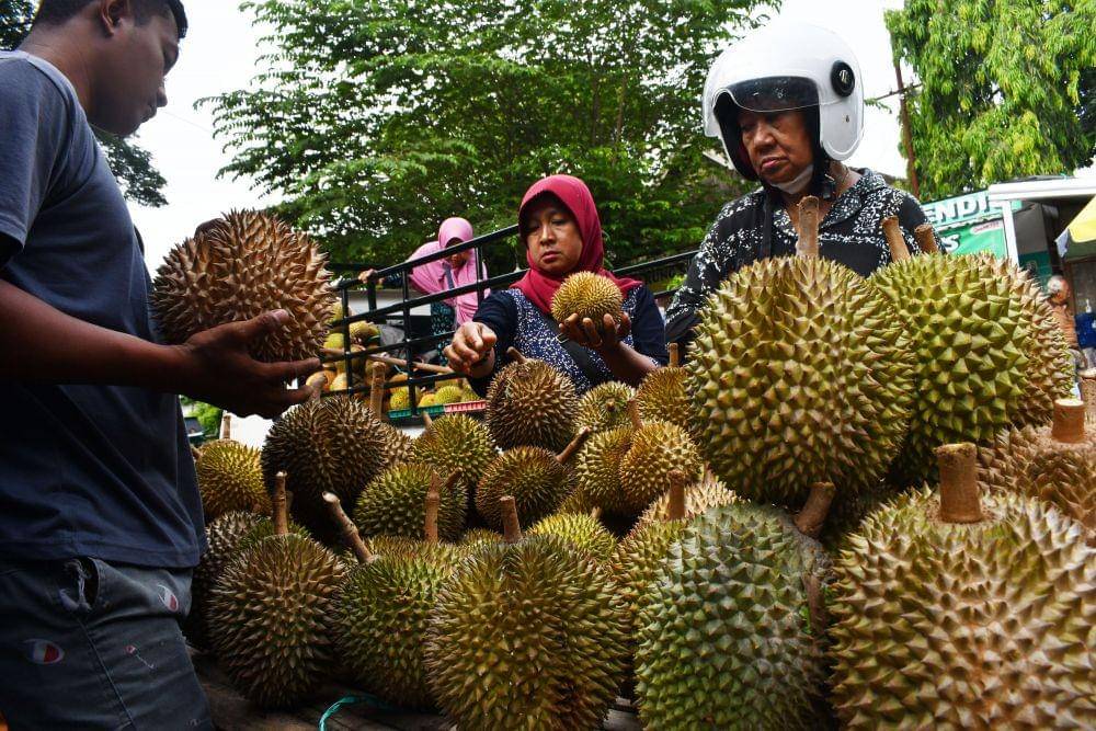 Pedagang buah durian melayani pembeli di pasar musiman di Pagotan, Kabupaten Madiun, Jawa Timur, Minggu (29/1/2023). ANTARA FOTO/Siswowidodo/nym