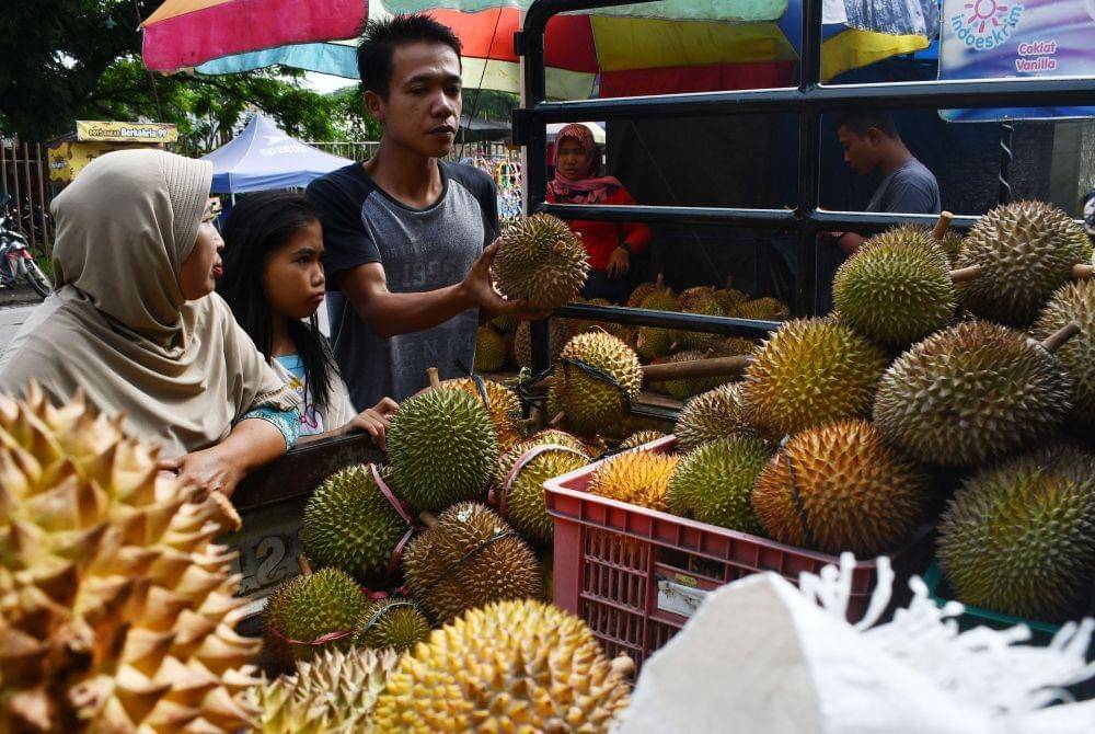 Pengunjung memilih buah durian yang ditawarkan pedagang di pasar musiman di Pagotan, Kabupaten Madiun, Jawa Timur, Minggu (29/1/2023). ANTARA FOTO/Siswowidodo/nym