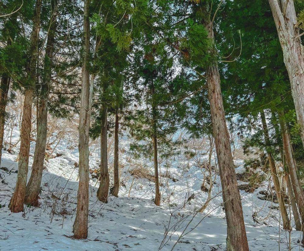 momen Via Vallen dan suami di Shirakawa-Go (instagram.com/viavallen)