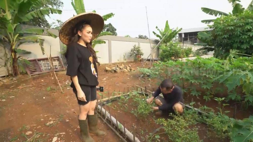 Ayah Ojak berkebun (YouTube.com/ TRANS7 OFFICIAL)