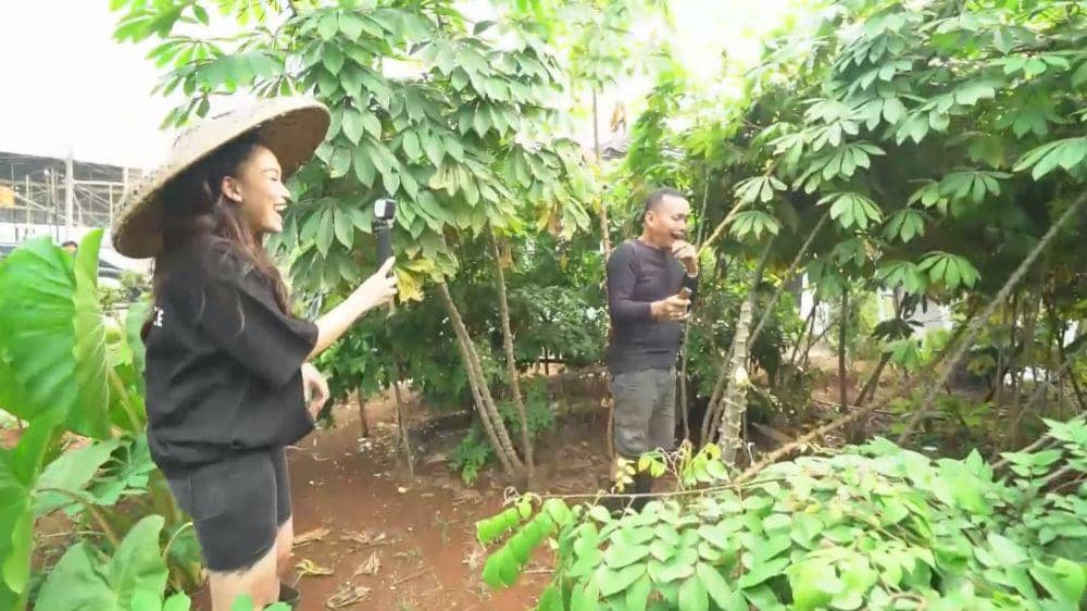 Ayah Ojak berkebun (YouTube.com/ TRANS7 OFFICIAL)