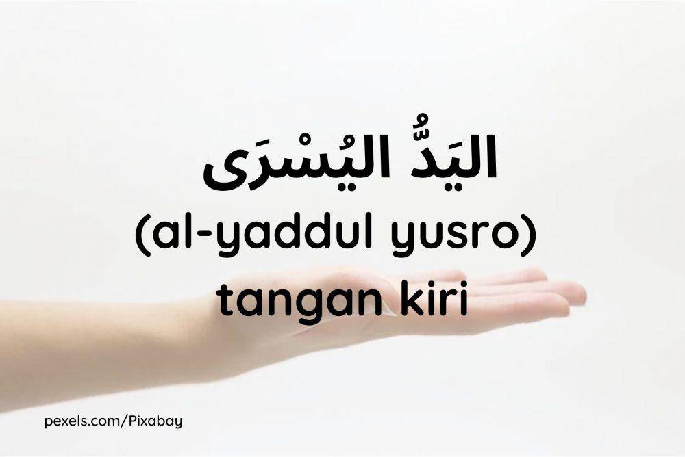 ilustrasi tangan kiri (Dok.pribadi/Maisix Dela Desmita)
