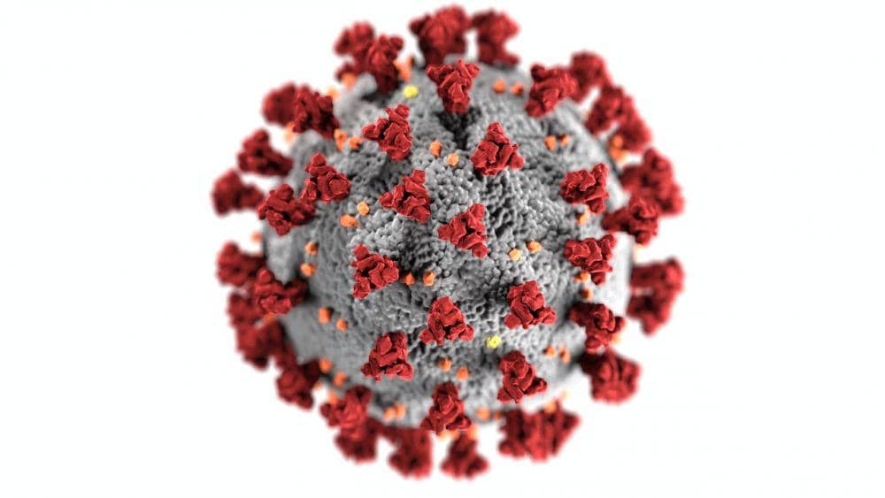 ilustrasi virus