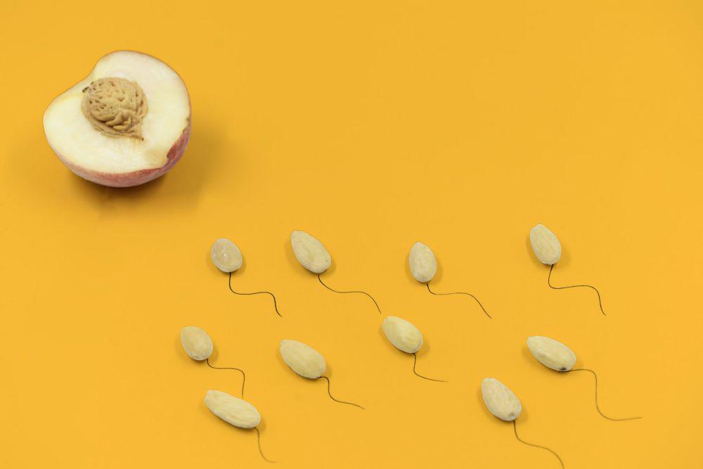 15 Makanan Penyubur Sperma untuk Percepat Kehamilan Istri