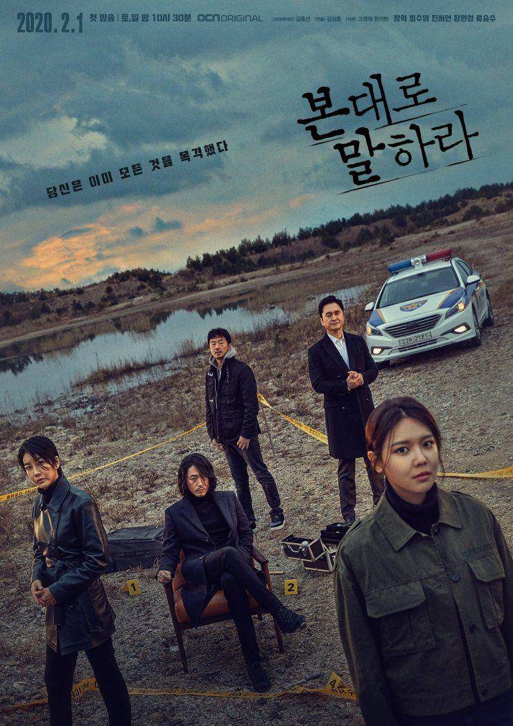 poster drama Tell Me What You Saw (dok. tvN/Tell Me What You Saw)