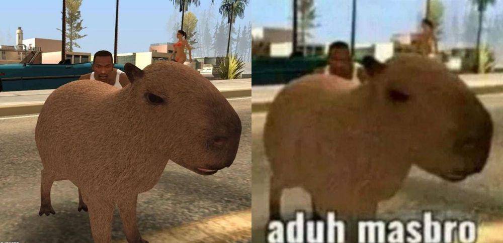 penjelasan meme capybara masbro (instagram.com/cjzuero)