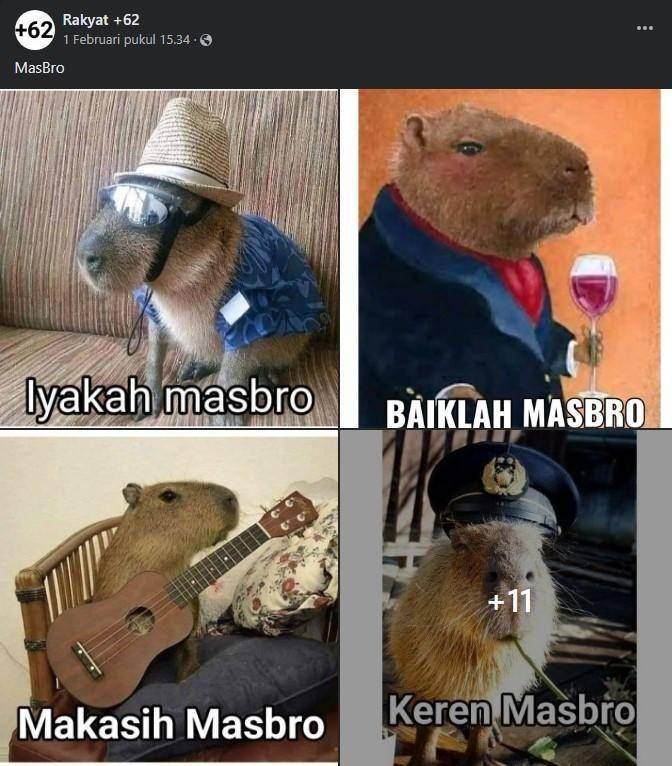 penjelasan meme capybara masbro (facebook.com/Rakyat-62-228102444674369)