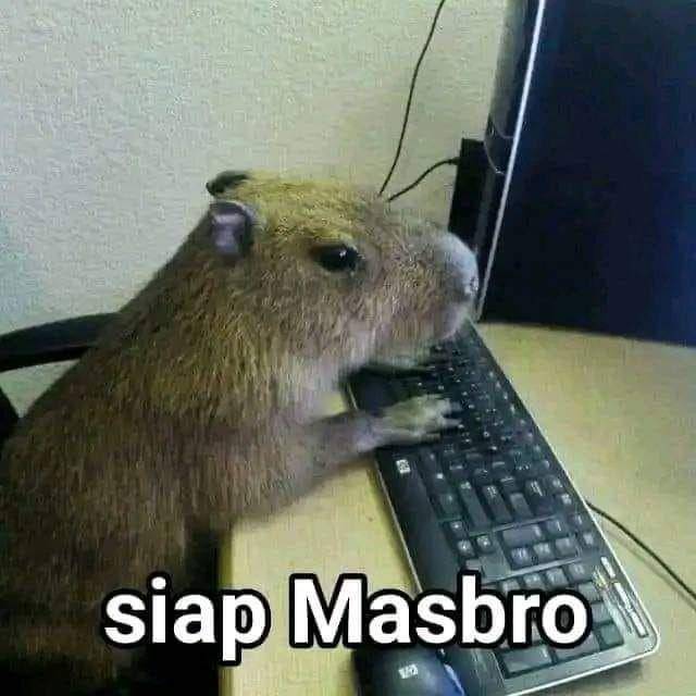 penjelasan meme capybara masbro (facebook.com/AmrealElsurbakti19)