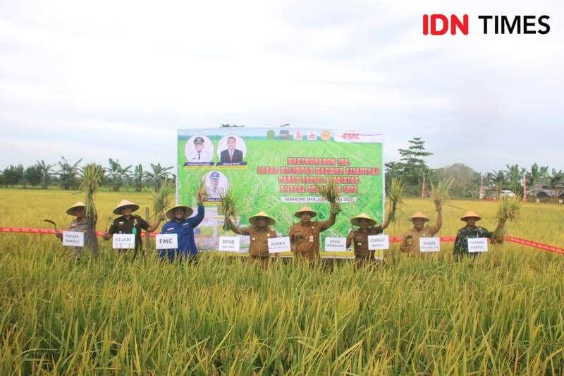 Petani di PPU Diminta Tingkatkan Kemampuan dalam Mengelola Pertanian