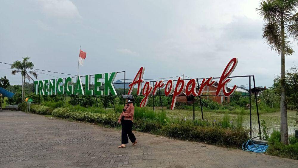 Tampak pengunjung. (Dok.pribadi/Rangga)