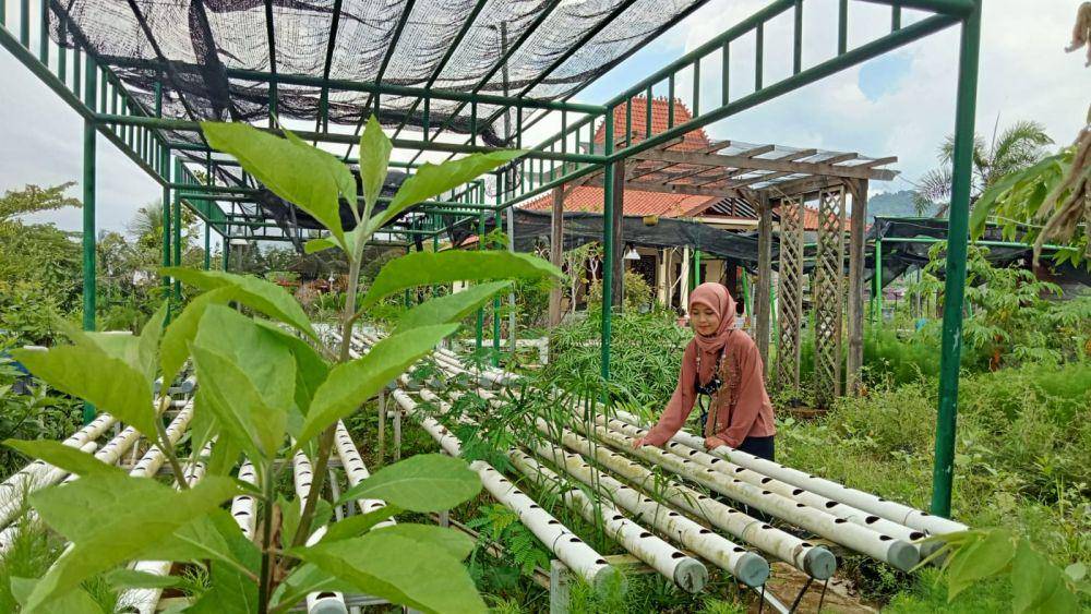 Pengunjung di Trenggalek Agropark. (Dok.pribadi/Rangga)
