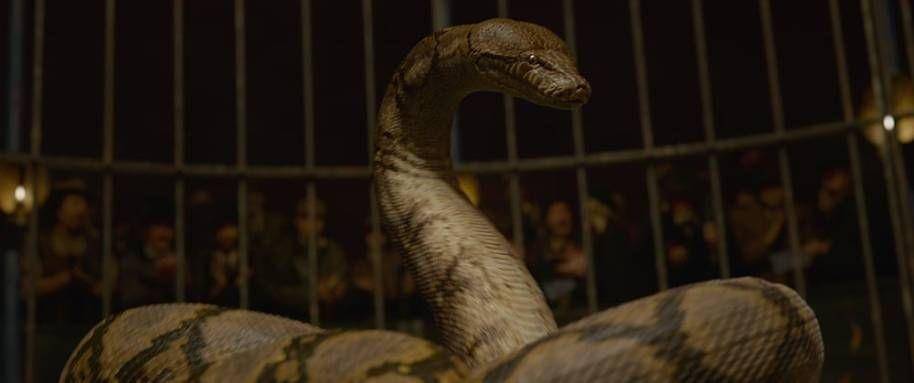 dok. Warner Bros/Fantastic Beasts