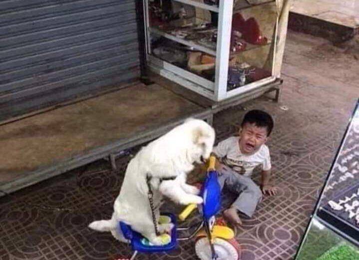 anak kecil apes (twitter.com/mideysmith)