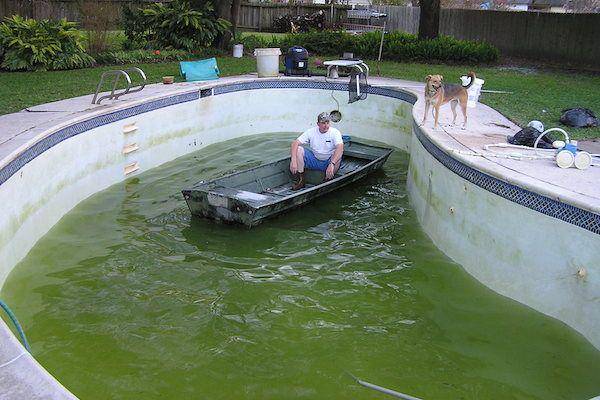 momen lucu orang saat di kolam renang (facebook.com/nr1poolprofessionals)