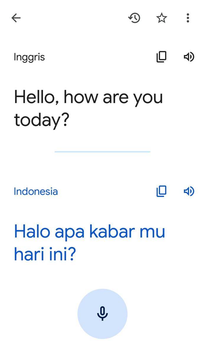 ilustrasi terjemahan (dok.Google/Google Terjemahan)