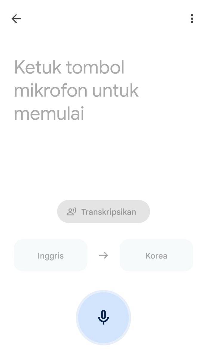 ilustrasi terjemahan (dok.Google/Google Terjemahan)