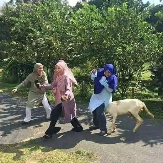momen lucu cewek saat foto bareng (instagram.com/sukijan.id)
