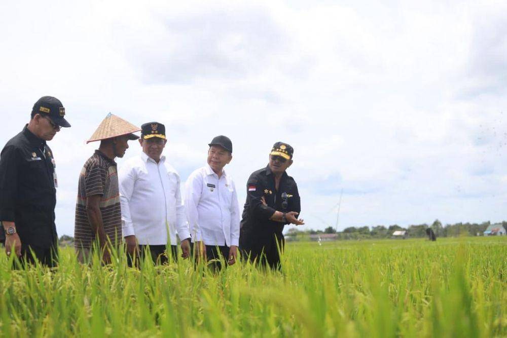 Mentan saat meninjau kawasan food estate Kalimantan Tengah, Kamis, 16 Februari 2023. (Dok. Kementan)