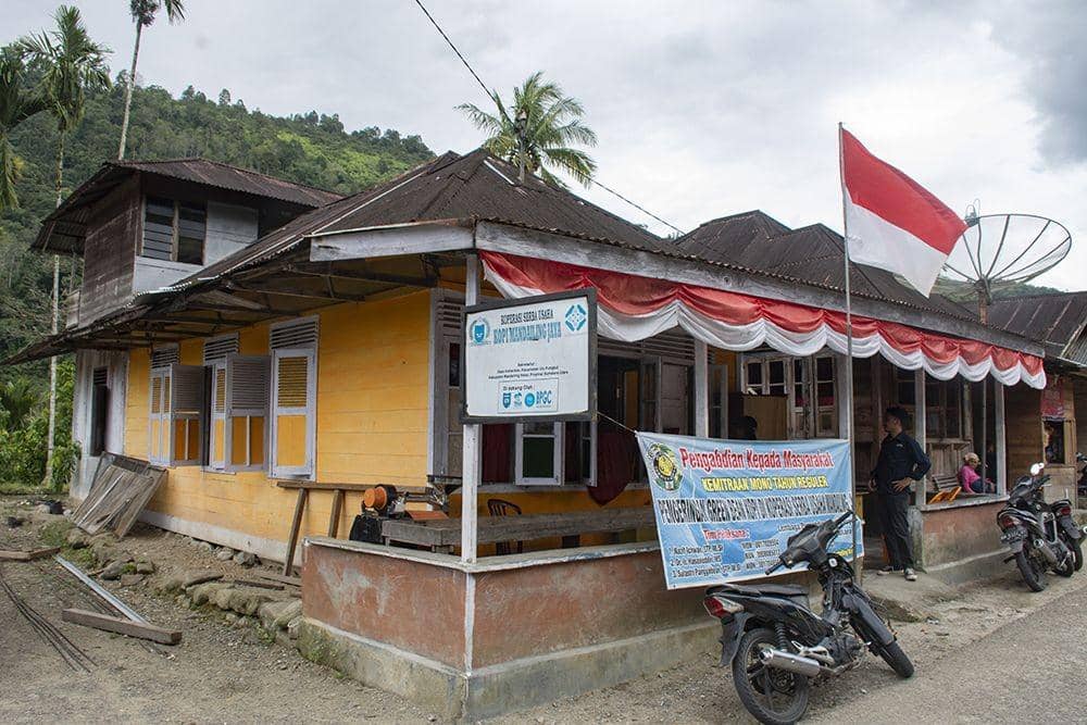 Koperasi Serba Usaha Kopi Mandailing Jaya (KSU Komanja) di Desa Alahan Kae, Kecamatan Ulu Pungkut, Kabupaten Mandailing Natal, Sumut (Foto Dok. Saddam Husein For IDN Times)