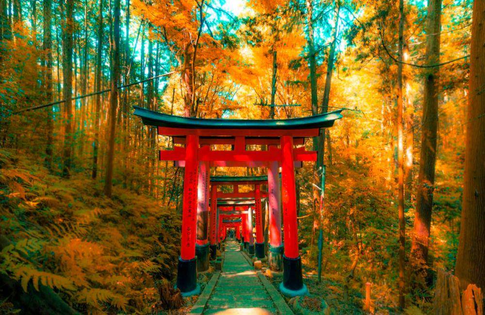 Fushimi Inari Taisha di Kyoto, Jepang (unsplash.com/papidridri44)