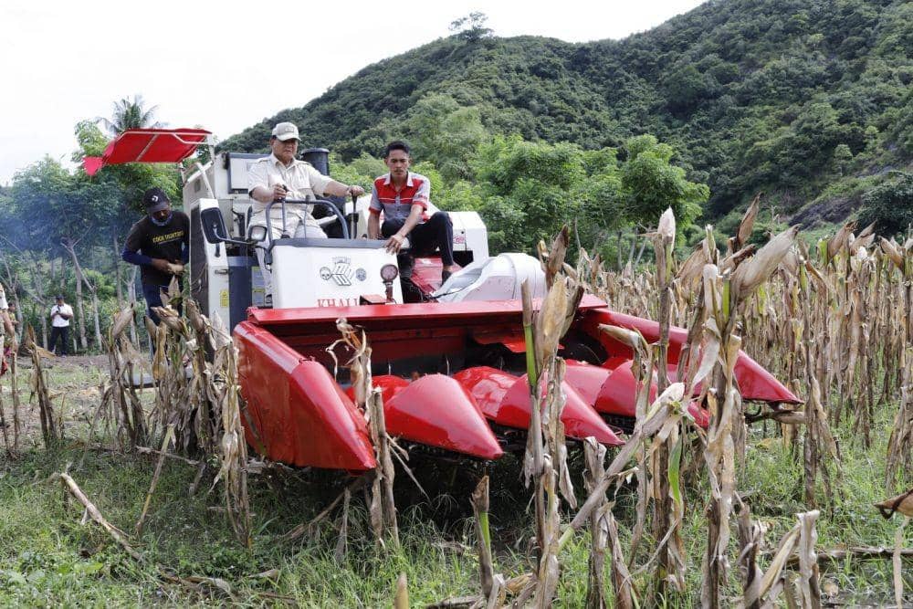 Menhan Prabowo Subianto panen jagung. (dok. Diskominfotik NTB)