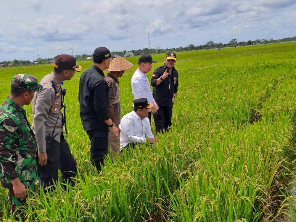 Menteri Pertanian Syahrul Yasin Limpo (Mentan SYL) saat kunjungan kerja (Kunker) meninjau Food Estate bersam Wakil Gubernur Kalimantan Tengah, Edy Pratowo, dan Bupati Kapuas, Ben Brahim S Bahat, di Desa Bentuk Jaya (Blok A5), Kecamatan Dadahup, Kabupaten Kapuas, Kamis (16/2/2023). (Dok. Kementan)