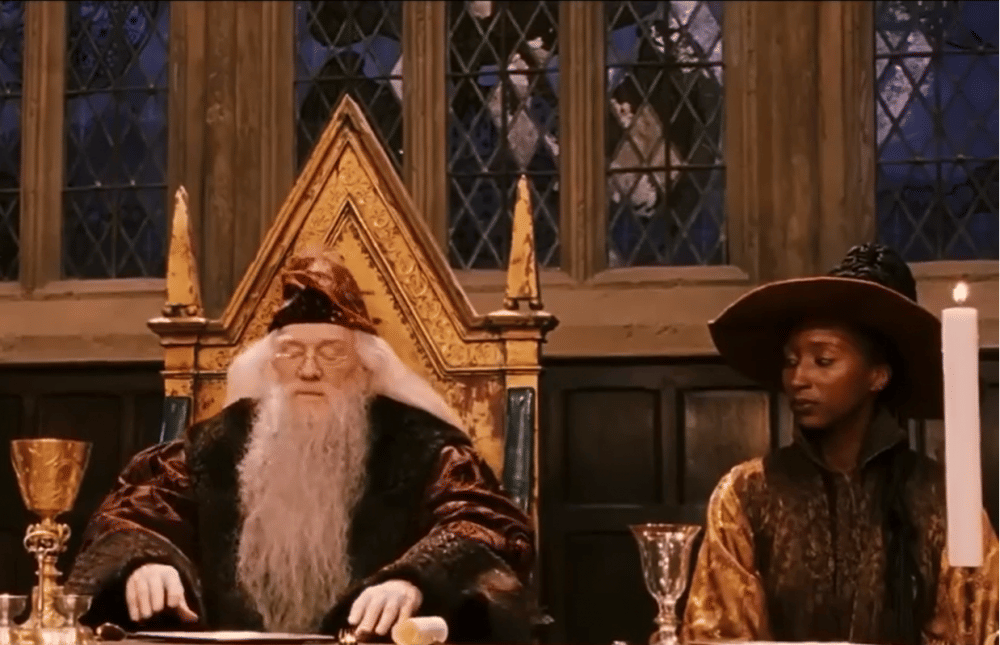 dok. Warner Bros/Harry Potter