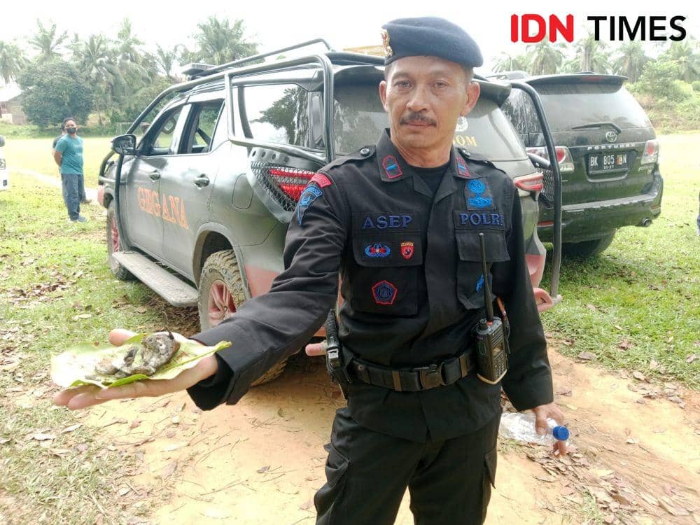Granat dan amunisia yang ditemukan di lahan pertanian warga di Gampong Ingin Jaya, Kecamatan Rantau, Kabupaten Aceh Tamiang, Aceh. (Dokumentasi Polsek Rantau untuk IDN Times)