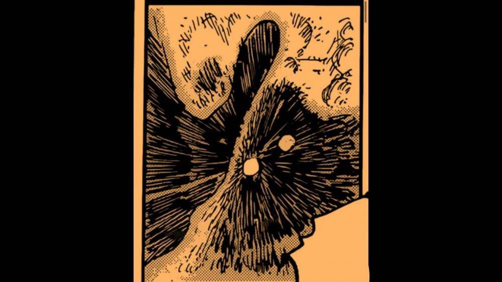 Bayangan misterius di One Piece 1075. (Dok. Shueisha/One Piece)