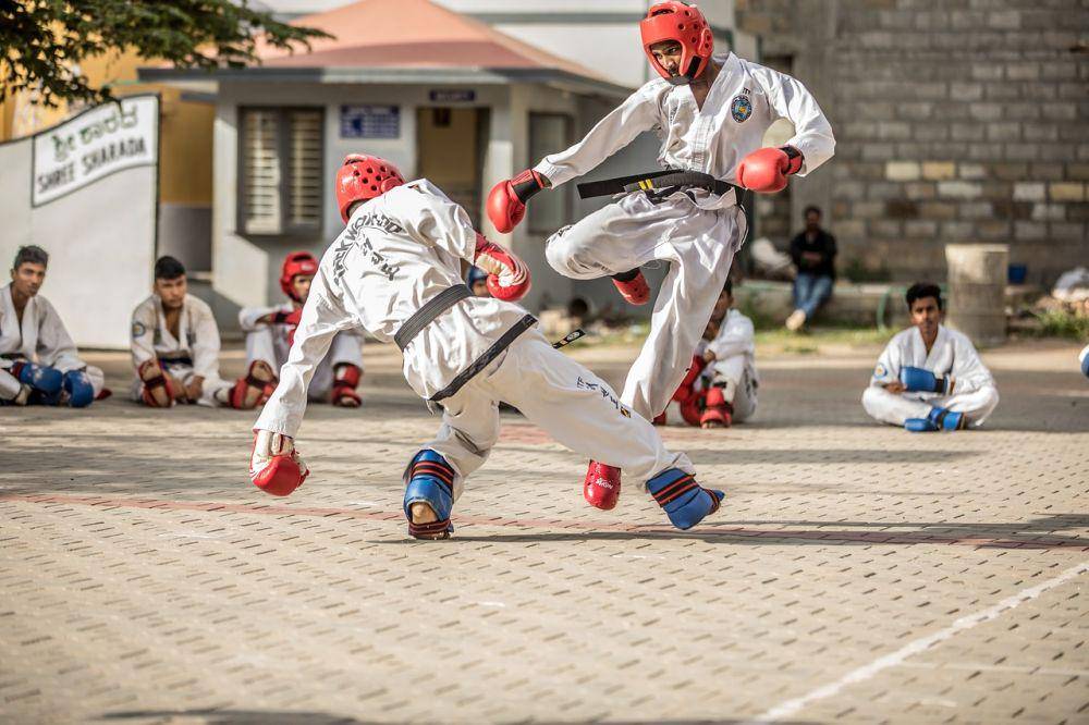 ilustrasi sejarah taekwondo (pixabay.com/Anilsharma26)