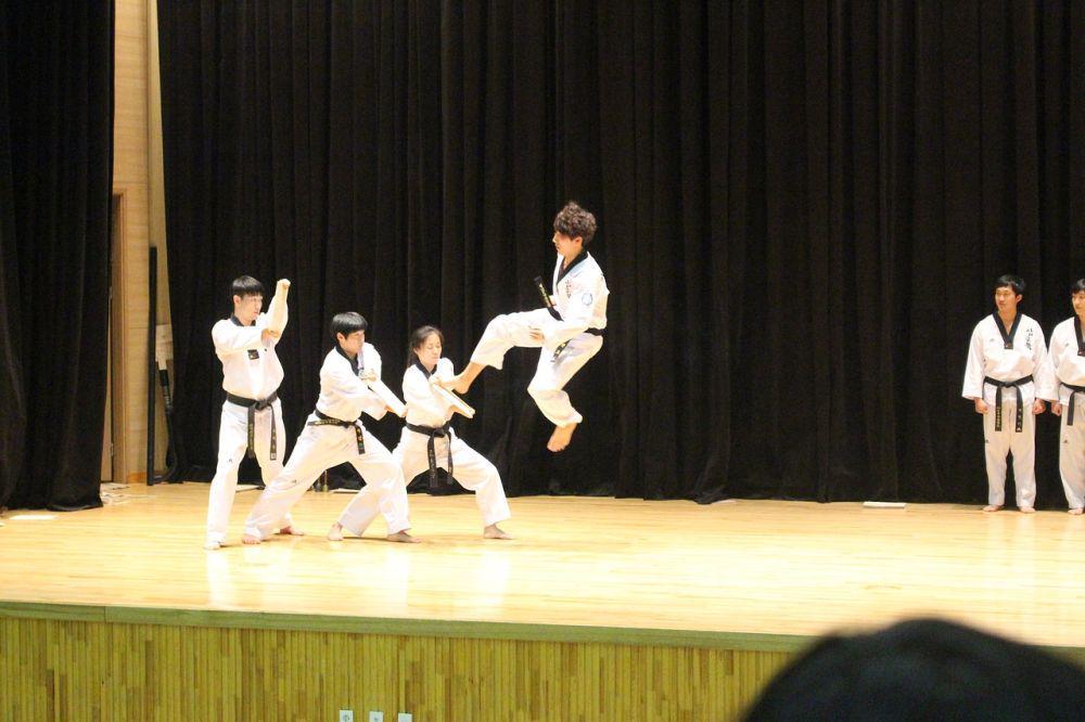 5 Perbedaan Karate dan Taekwondo, Serupa tapi Tak Sama