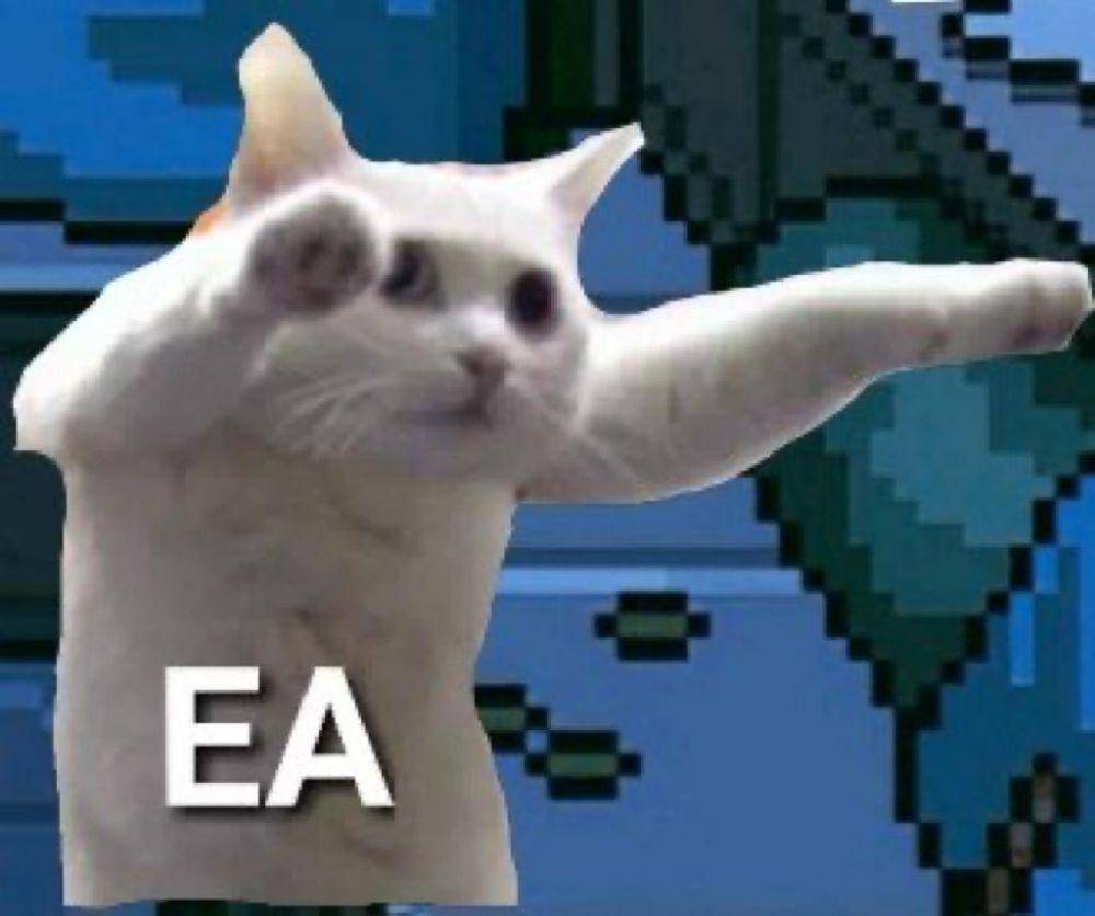 Meme Kucing Putih (twitter.com/dzakuyyy)