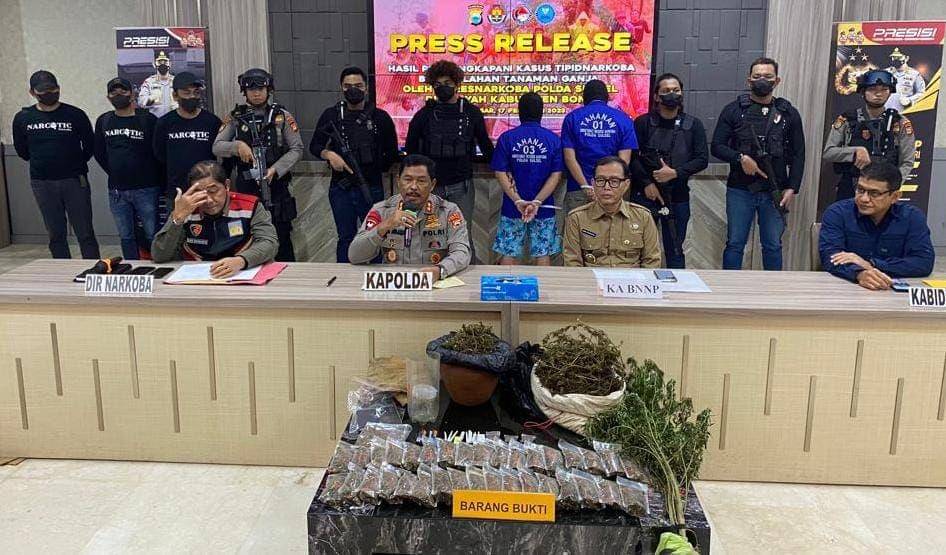 Polda Sulsel rilis hasil pengungkapan 1 hektar lahan ganja di Bone. (Istimewa)