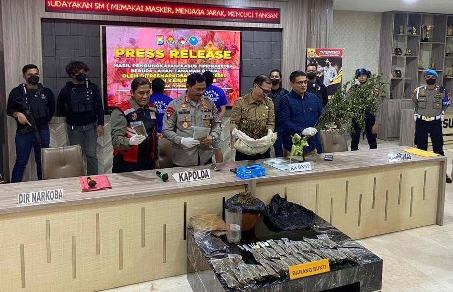Kapolda Sulsel dan pejabatnya saat merilis kasus pengungkapan 1 hektar ladang ganja. (Istimewa)
