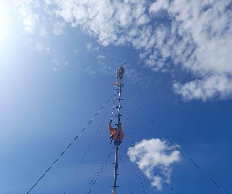 Wifi Lemot, Ternyata Tower Pemancarnya Dipeluk Ular Sanca
