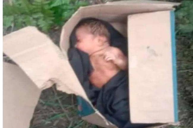 Kisah Bayi Malang Dibuang di Kebun Sawit, Puluhan Warga Ingin Adopsi