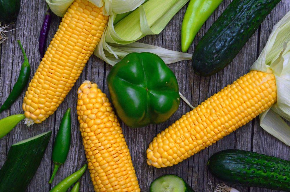 Apakah Produk GMO Aman untuk Dikonsumsi?