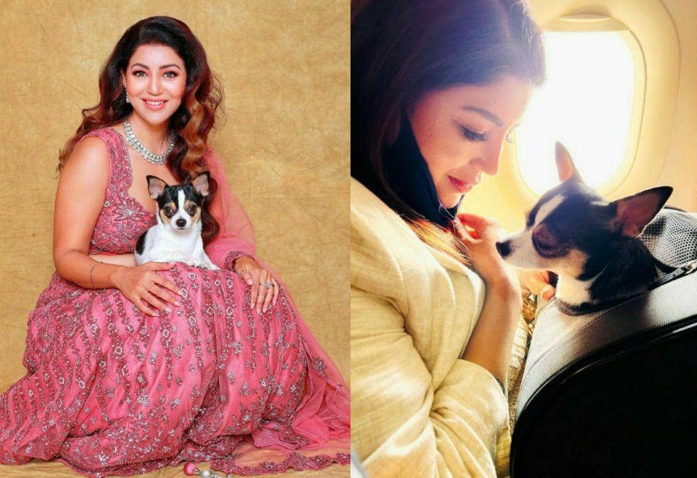 9 Potret Kedekatan Debina Bonnerjee dan Pablo, Anjing Peliharaannya