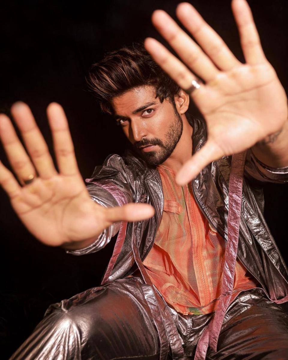 Gurmeet Choudhary (instagram.com/guruchoudhary)