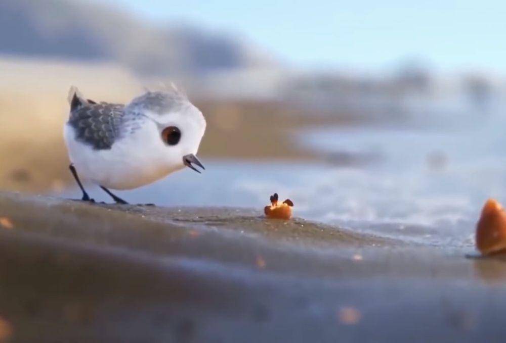 Cuplikan film animasi pendek Piper (dok. Disney+Hotstar/Piper)
