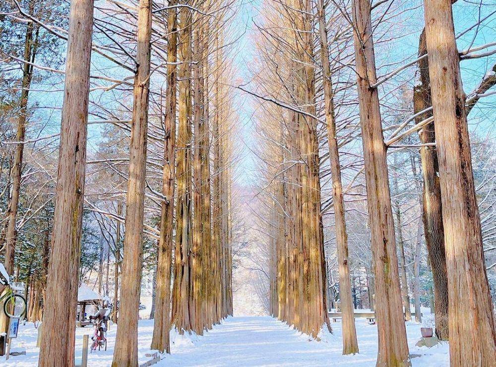 Potret Pulau Nami di Korea Selatan (instagram.com/namiisland_naminara)