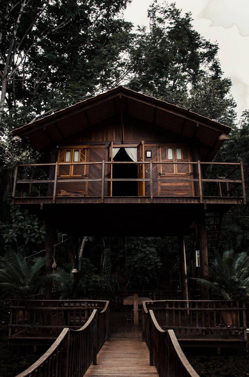 inspirasi rumah kayu (pexels.com/@isabella-mendes-107313)