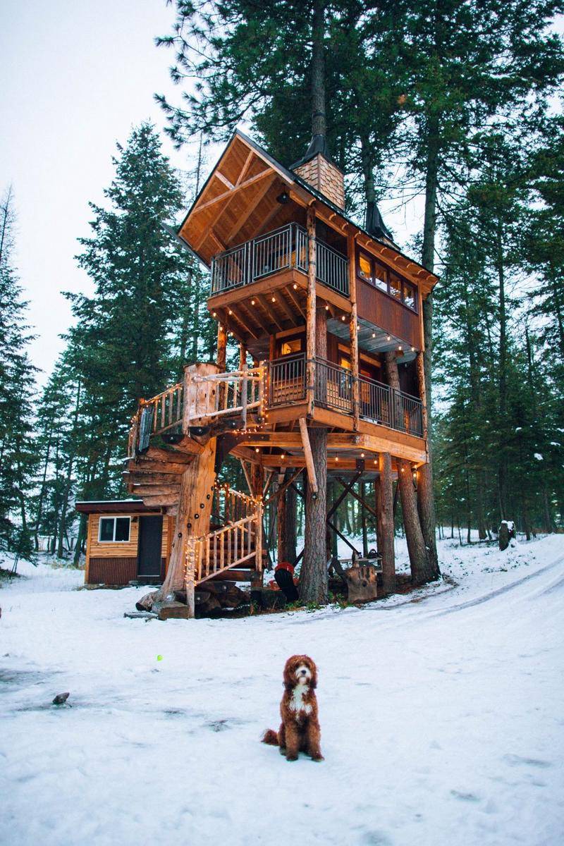 inspirasi rumah kayu (unsplash.com/@rpnickson)